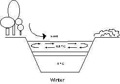 wpeA.jpg (5352 bytes)